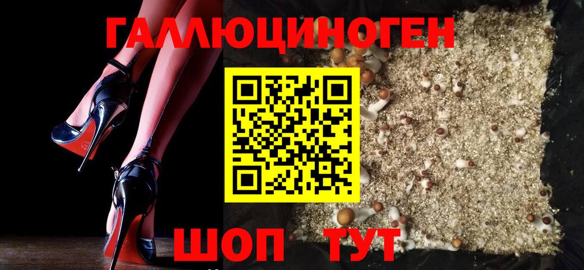 Псилоцибиновые грибы MAGIC MUSHROOMS  Галлюциногенные грибы прущие грибы  Клин  Вход с VPN 